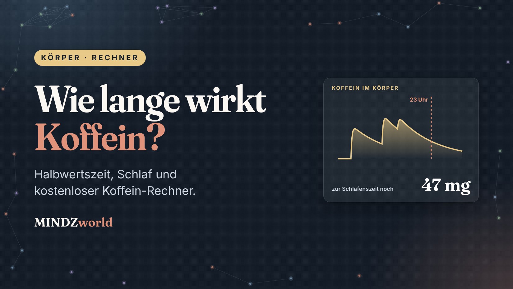 Wie lange wirkt Koffein: Beitragsbild mit Koffein-Kurve über den Tag