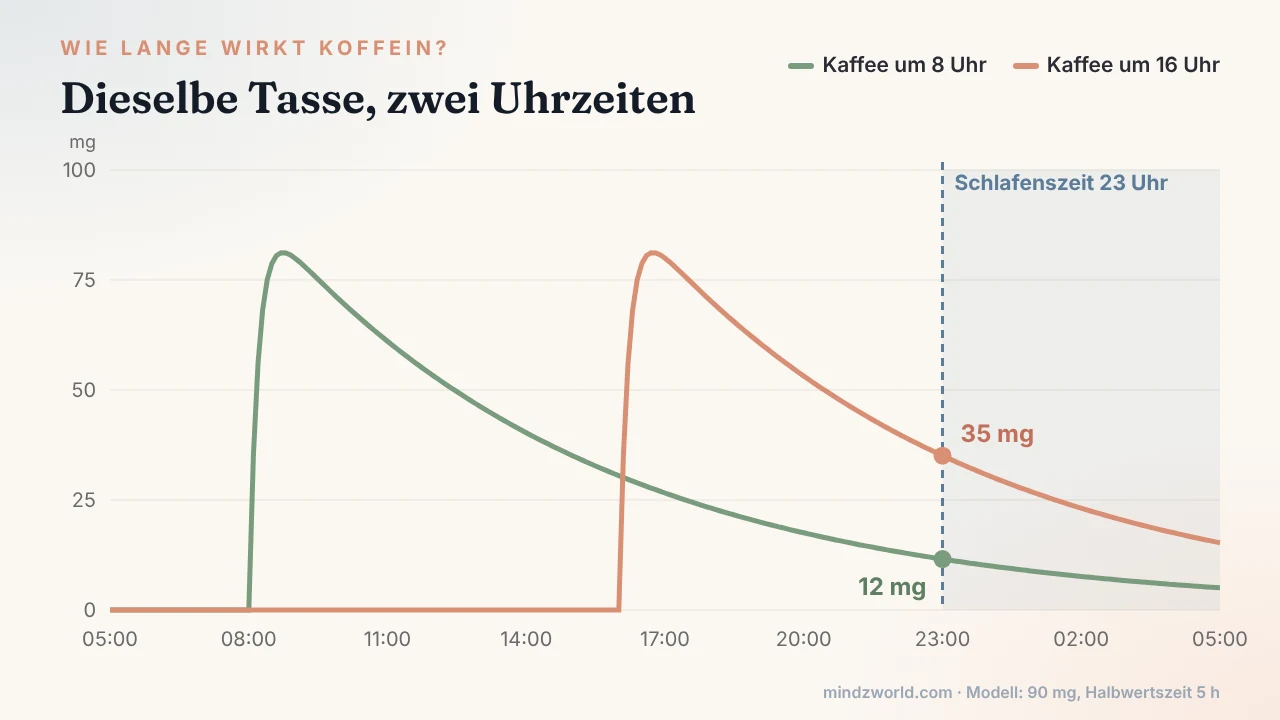 Wie lange wirkt Koffein: Verlauf einer Tasse Kaffee um 8 Uhr und um 16 Uhr bis zur Schlafenszeit