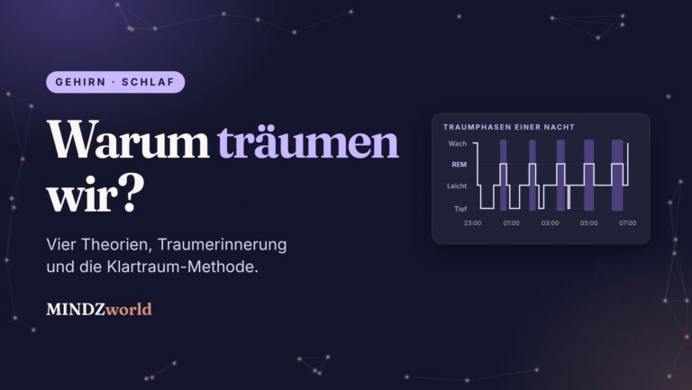 Warum träumen wir: Beitragsbild mit Schlafphasen und REM-Traumphasen